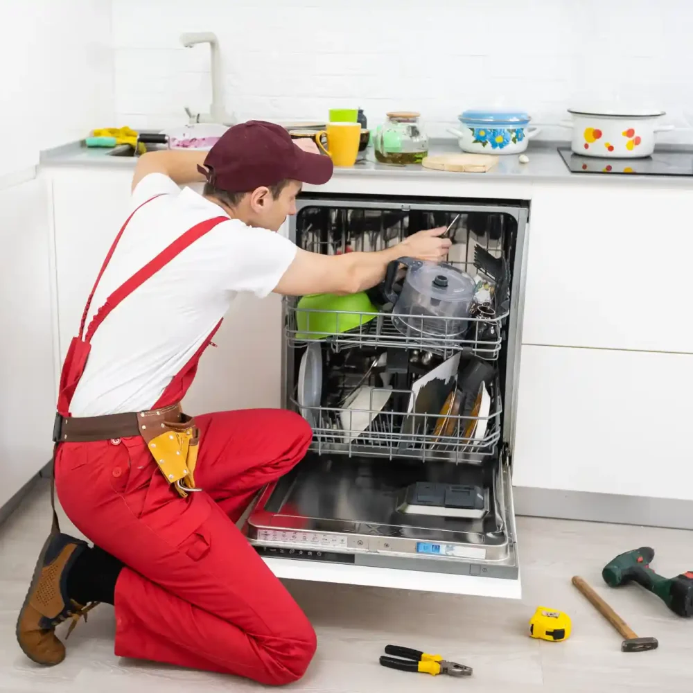 Dishwasher Repair Service Work