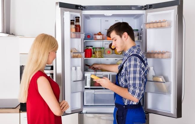 Frudge Repair Technician