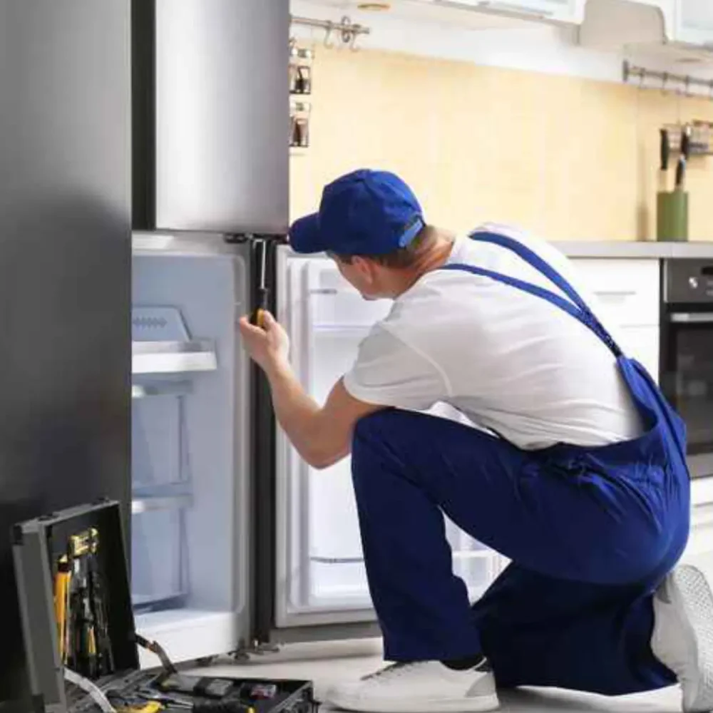 Fridge Repair Work